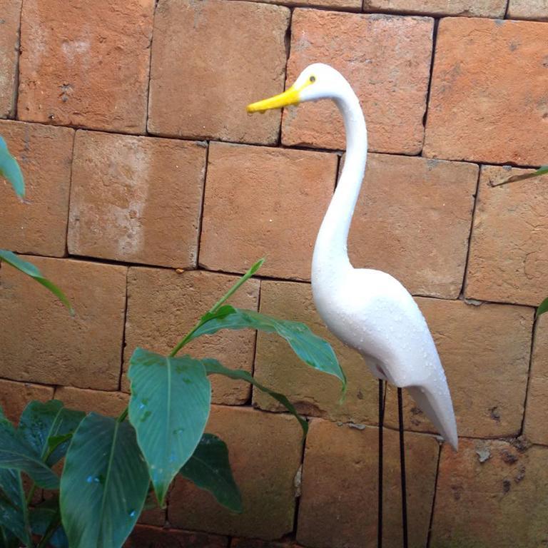 Jardim Secreto Villa Morro de São Paulo Екстериор снимка
